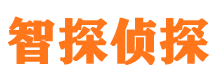 平遥智探私家侦探公司